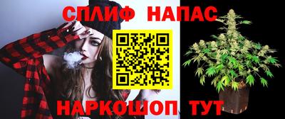 СК Севастополь