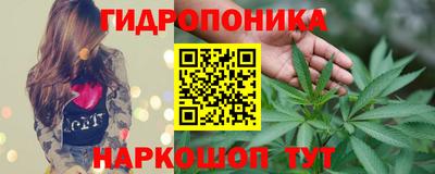 СК Севастополь