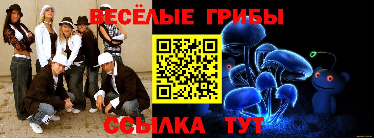 Ростов Великий  купить наркотики сайты  Вход с VPN  Псилоцибиновые грибы Psilocybe 
