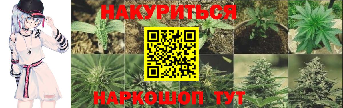 Каннабис сатива  Марихуана VHQ  Шишки марихуана Bruce Banner  Вход с VPN  Ростов Великий 